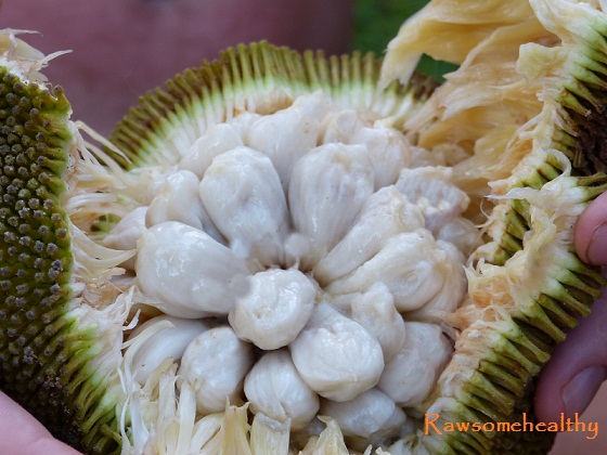 The Top 10 Exotic Fruits You Must Try