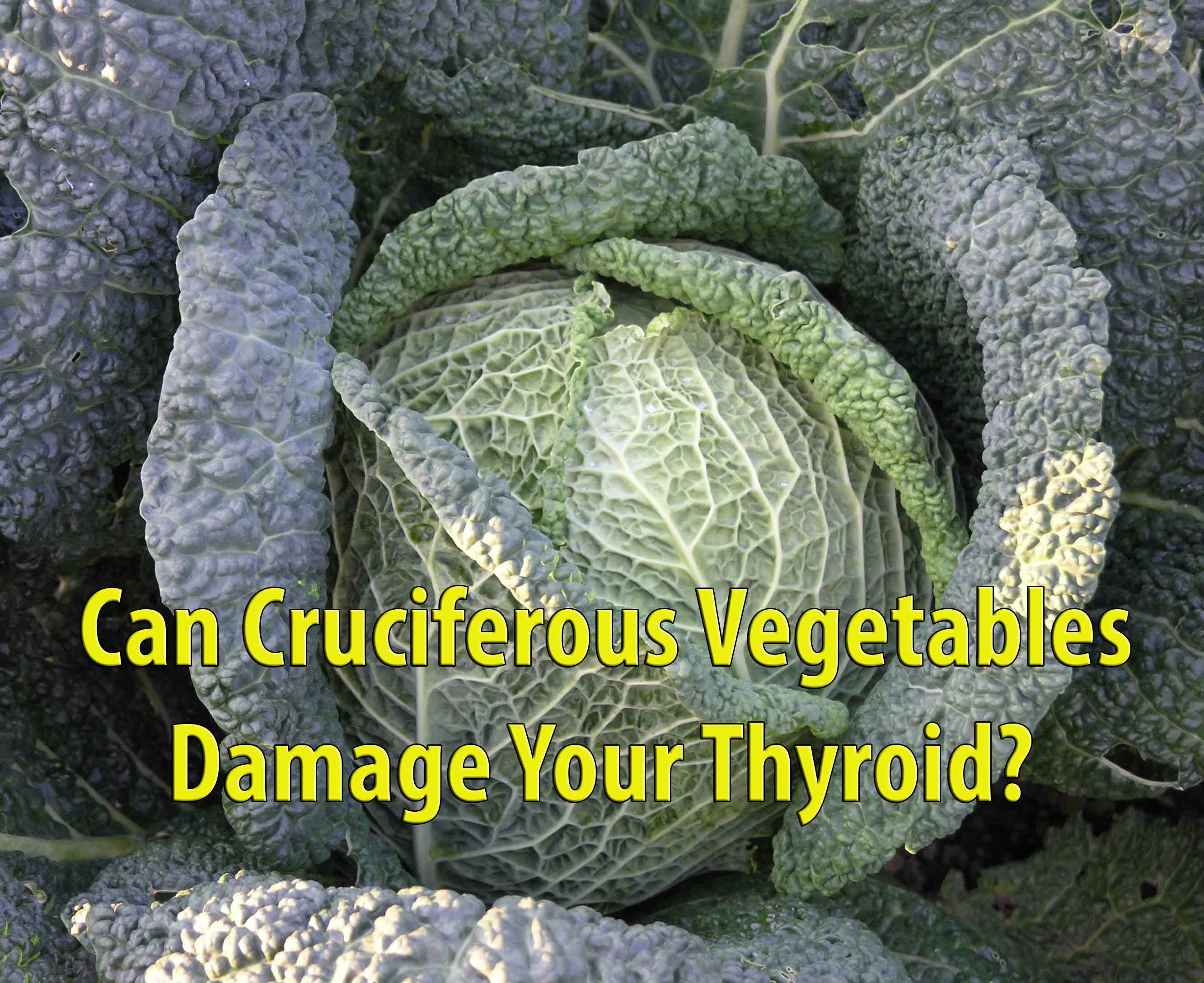 Can Cruciferous Vegetables Damage Your Thyroid?