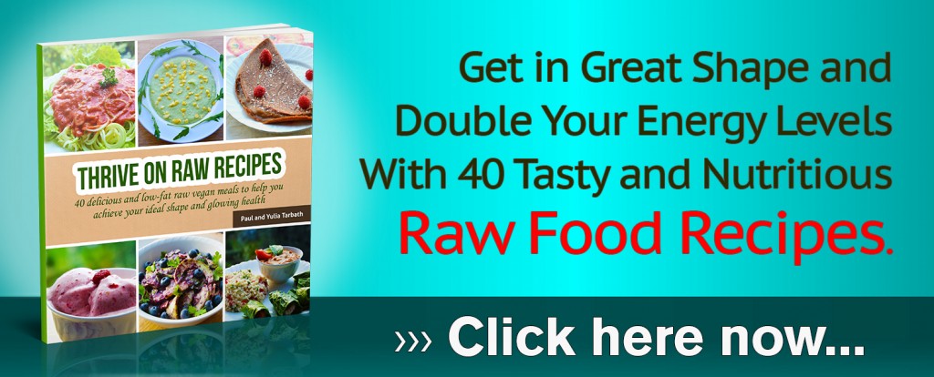Thrive On Raw Recipes banner_Large