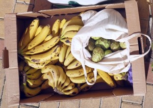 How to plan your raw vegan grocery list