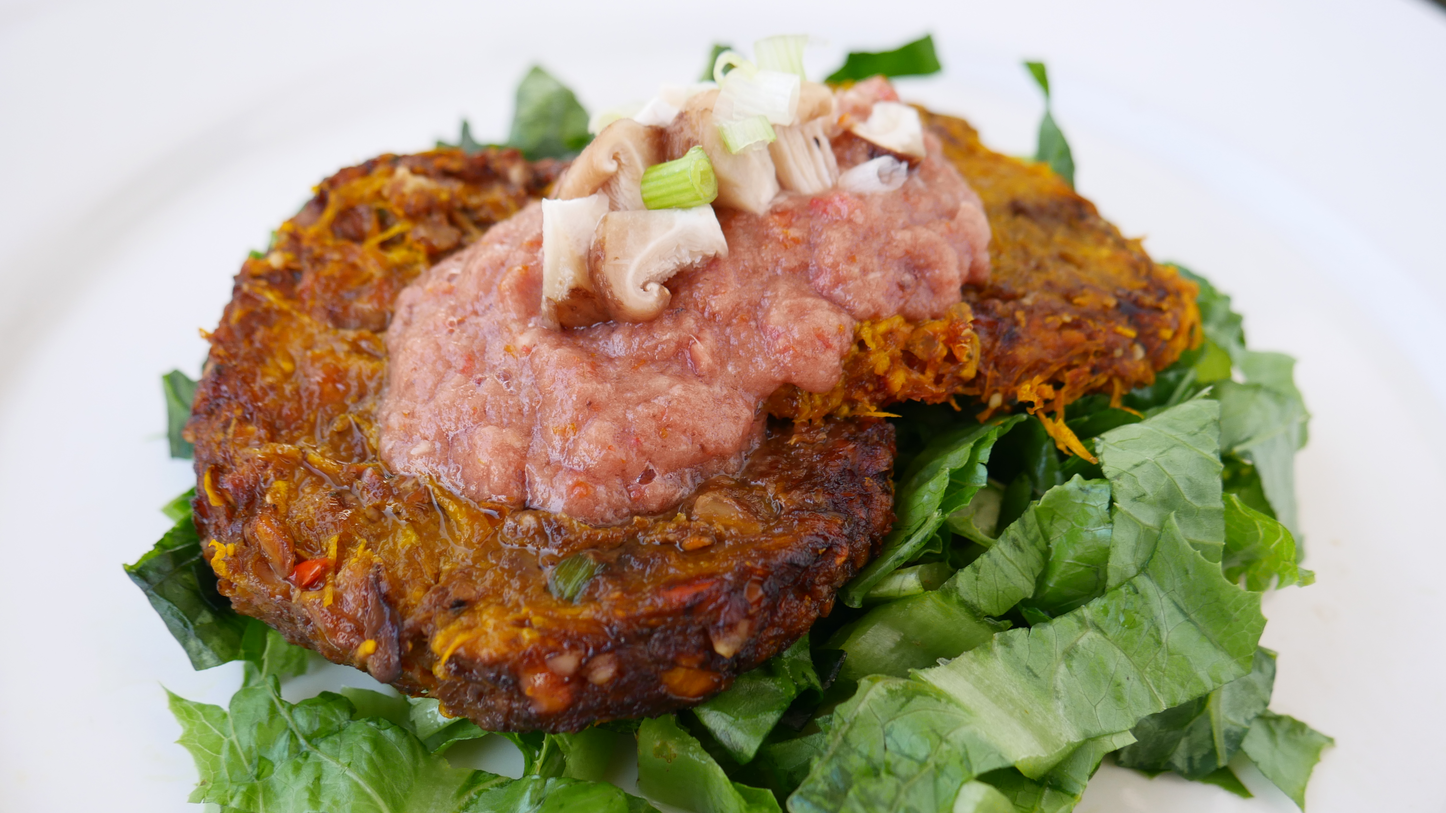 raw vegan pumpkin burger recipe