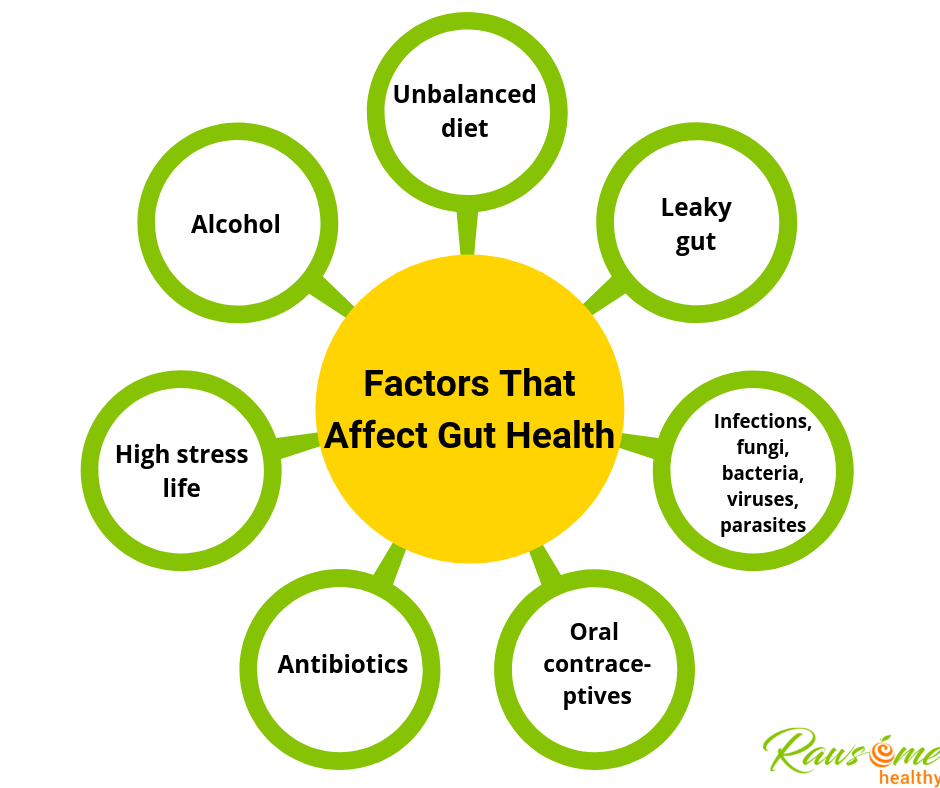 Factors that affect gut health