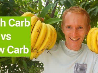 High Carb Diet, Slow Carb Diet, Zero Carb Diet - How Many Carbs