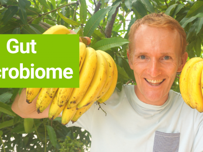 Gut Microbiome - How It Affects Your Weight, Hormones and Immune System